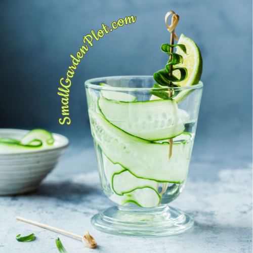 cucumbers