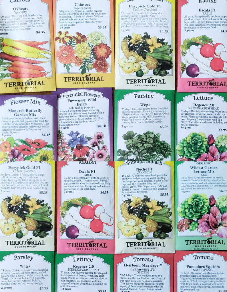 small garden plot